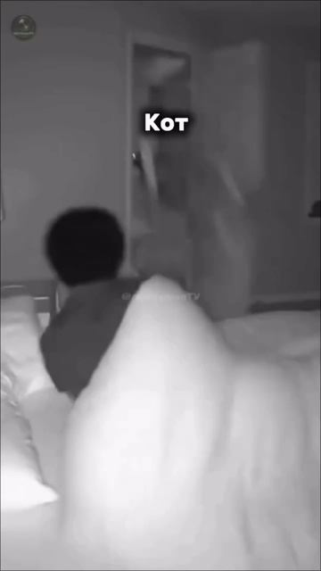 Упс неловко получилось #перепутал #маманаказала #курсор #новаямузыка #сейяас2026