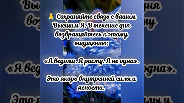 Квантовый прогноз на сегодня, 08.04.2026г.