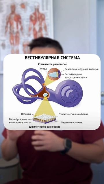 ГОЛОВОКРУЖЕНИЕ И ЧТО ДЕЛАТЬ|  ЮГАЙ ВАЛЕРИЙ РУДОЛЬФОВИЧ