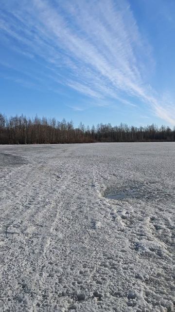 08.04.26. #доброго_утра