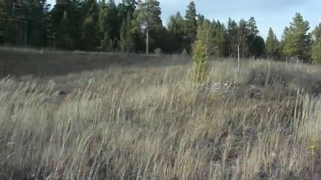 Пешеходный поход Гурьевск-Станция Аламбай по Салаирскому кряжу