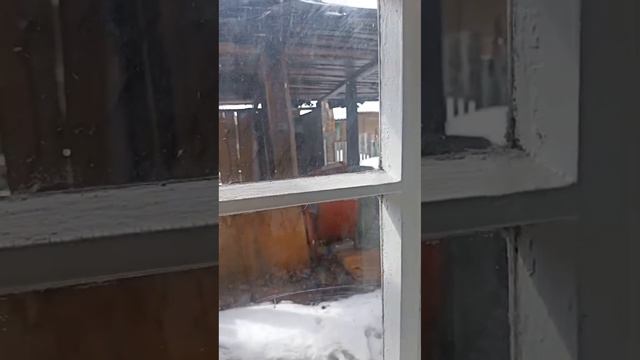 ДО и После ремонт в квартире в Подмосковье