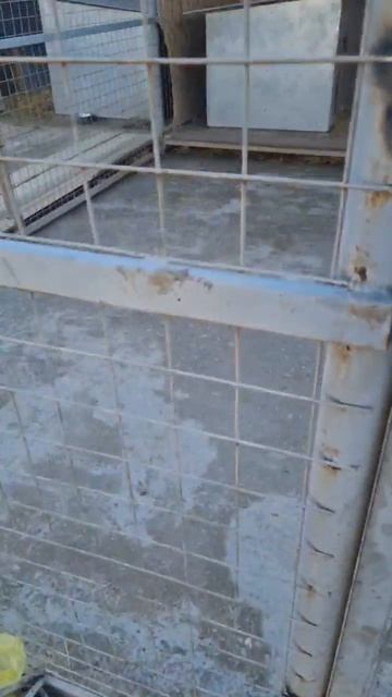 Почему не стоит бетонировать пол в вольере?