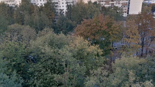 КАЖДОЕ УТРО С 20.09.2025 ПО 17.10.2026.Как менялась природа.