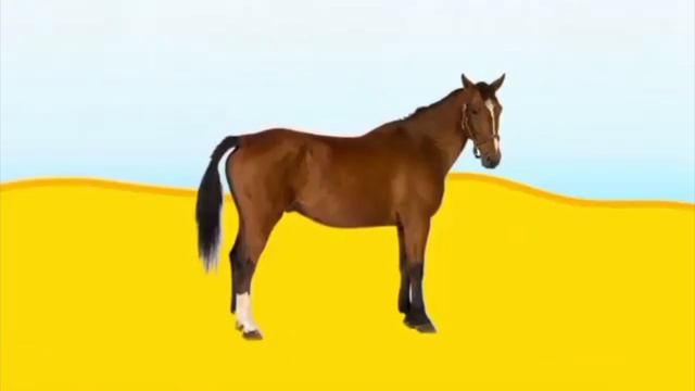 побег от нагетса ковбоя Add Round 0