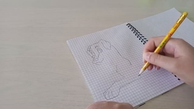 Рисую на камеру. ASMR-DRAWING. No Music. 1