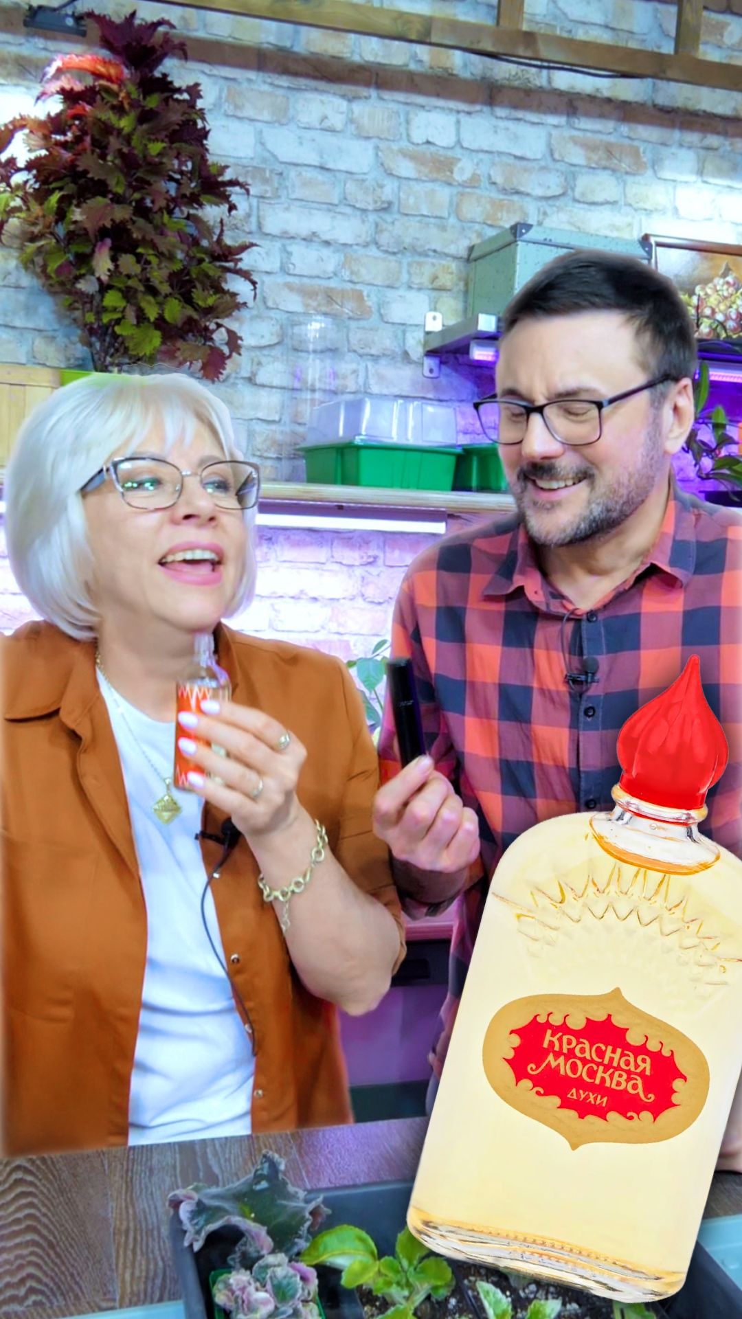 Подарил «Красную Москву»