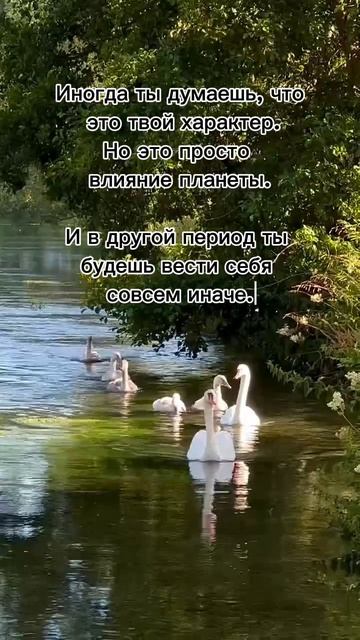 89d35e037445d13f1db827543b0d7a43