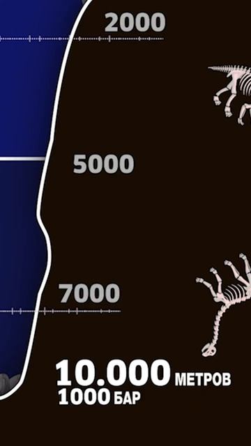 Bc014aa131addc42af03cba19a15388d