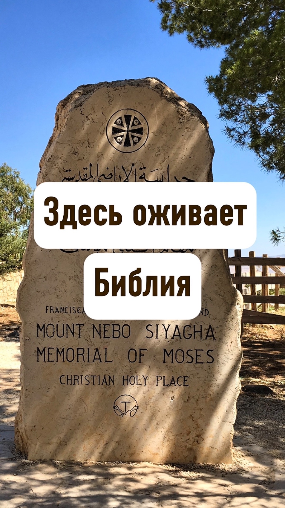 Здесь оживает Библия