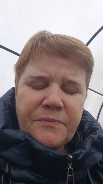 Отзыв на компанию 