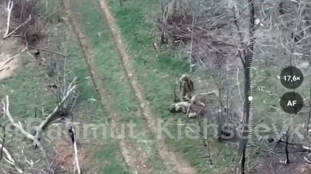 н.п. Константиновка Южная группировка войск 3 АК 6 мсд 1442 гв мсп.