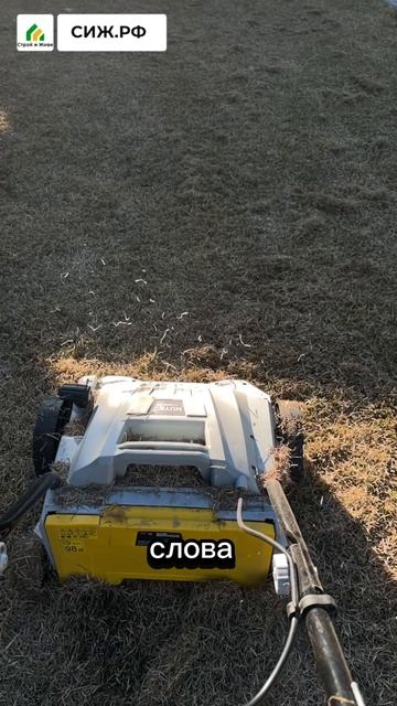 Спасаем газон