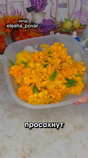 Хлебный квас. Шипучее игристое из бархатцев