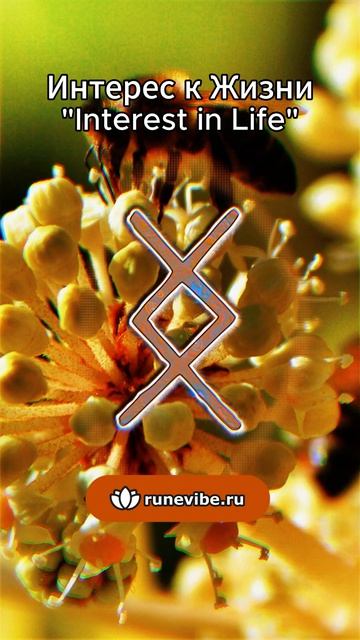 116b2be0ba7bb0e0f845cebc7b759f65