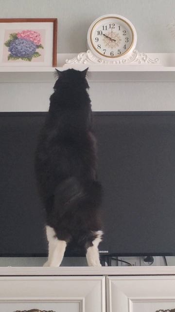 Фрося и тайная комната!