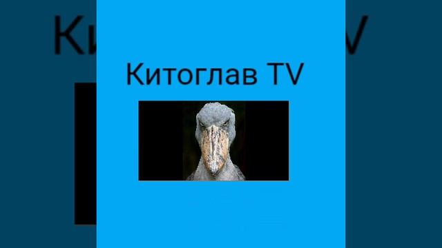 второе интро