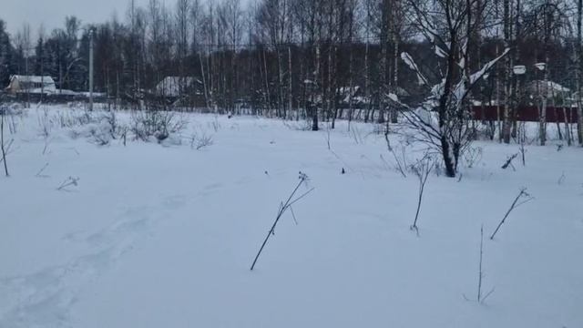 З/у с к.н. 50:28:0110318:1233 расположенный по адресу: МО, г. Домодедово, с. Добрыниха