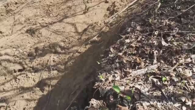 Большие дожди в Дагестане, в горах ополозни после дождя