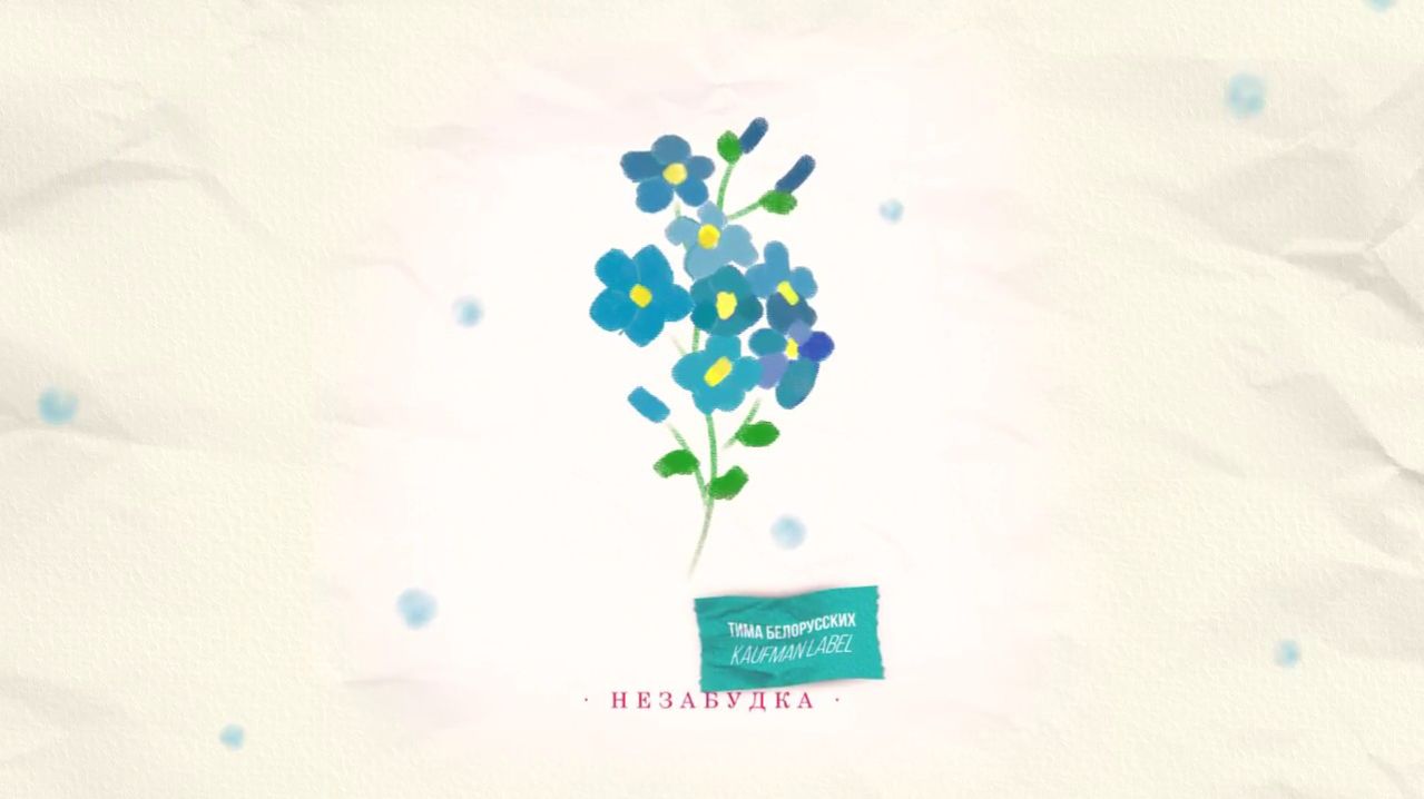 Shirerwer - Незабудка