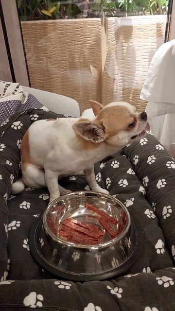 #РЕДИ❤️ УЖИНАЕТ В РЕСТОРАНЕ 