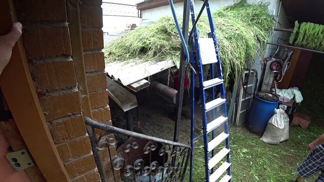 Влог от 08.07.2022