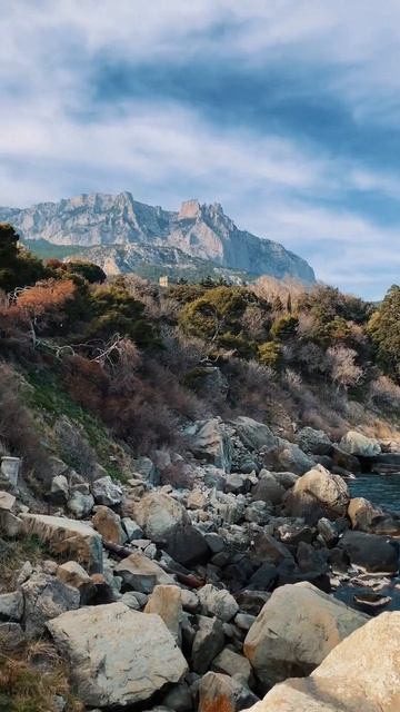 👀Вид со скалы Айвазовского