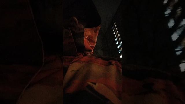 Мы идём гулять с собакой! | 8-апр-2026 2