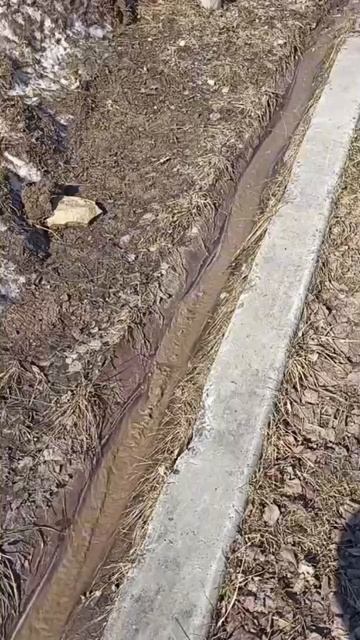 Весенний ручеек, 29 марта 2026 года. Живой звук.