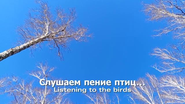 Слушаем пение птиц