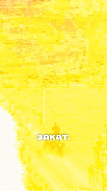 78245003a8f86146ded2c256cd0503e1