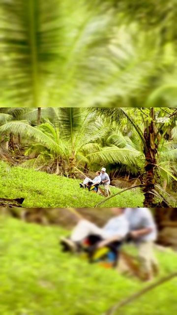 Остров (1сезон-9серия)