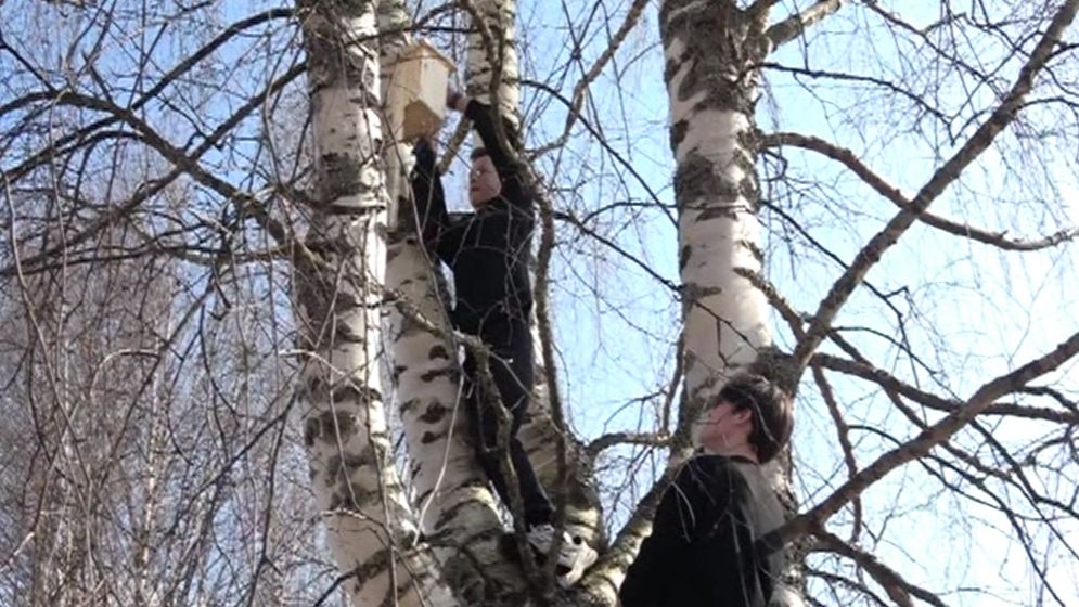 07 апреля 2026