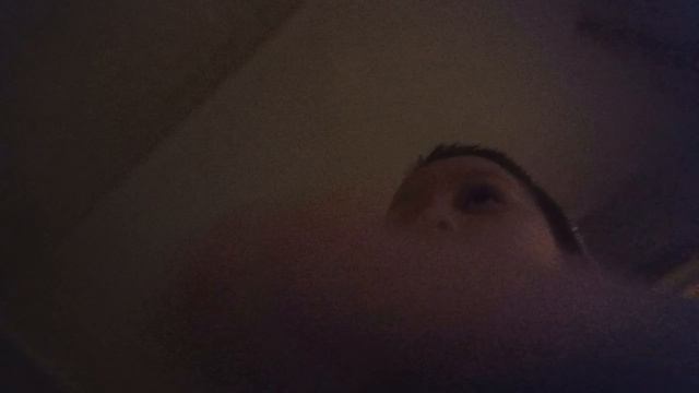 скибиди туалеты 🚽