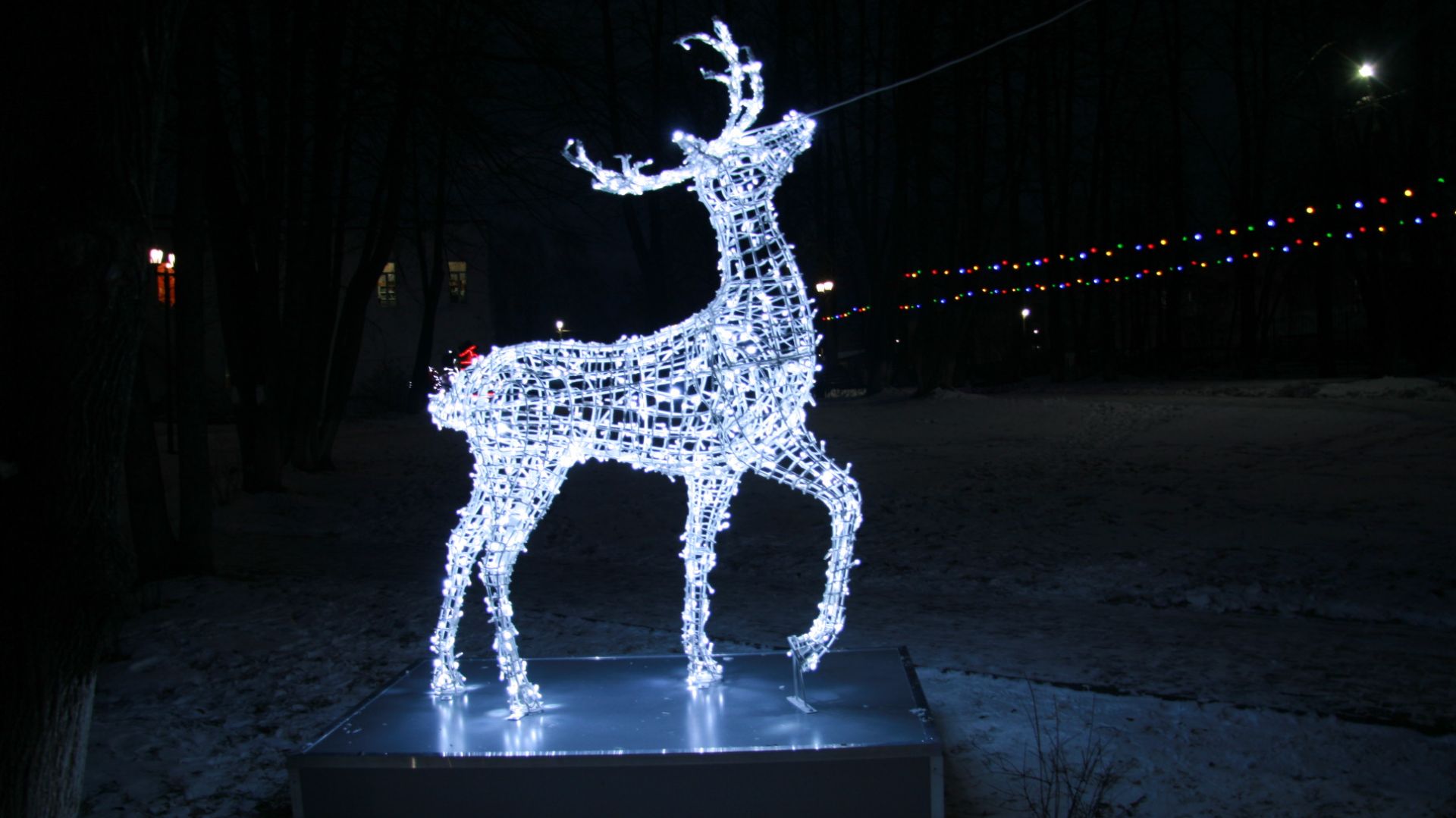 Новогодний световой олень. Для уличной эксплуатации.