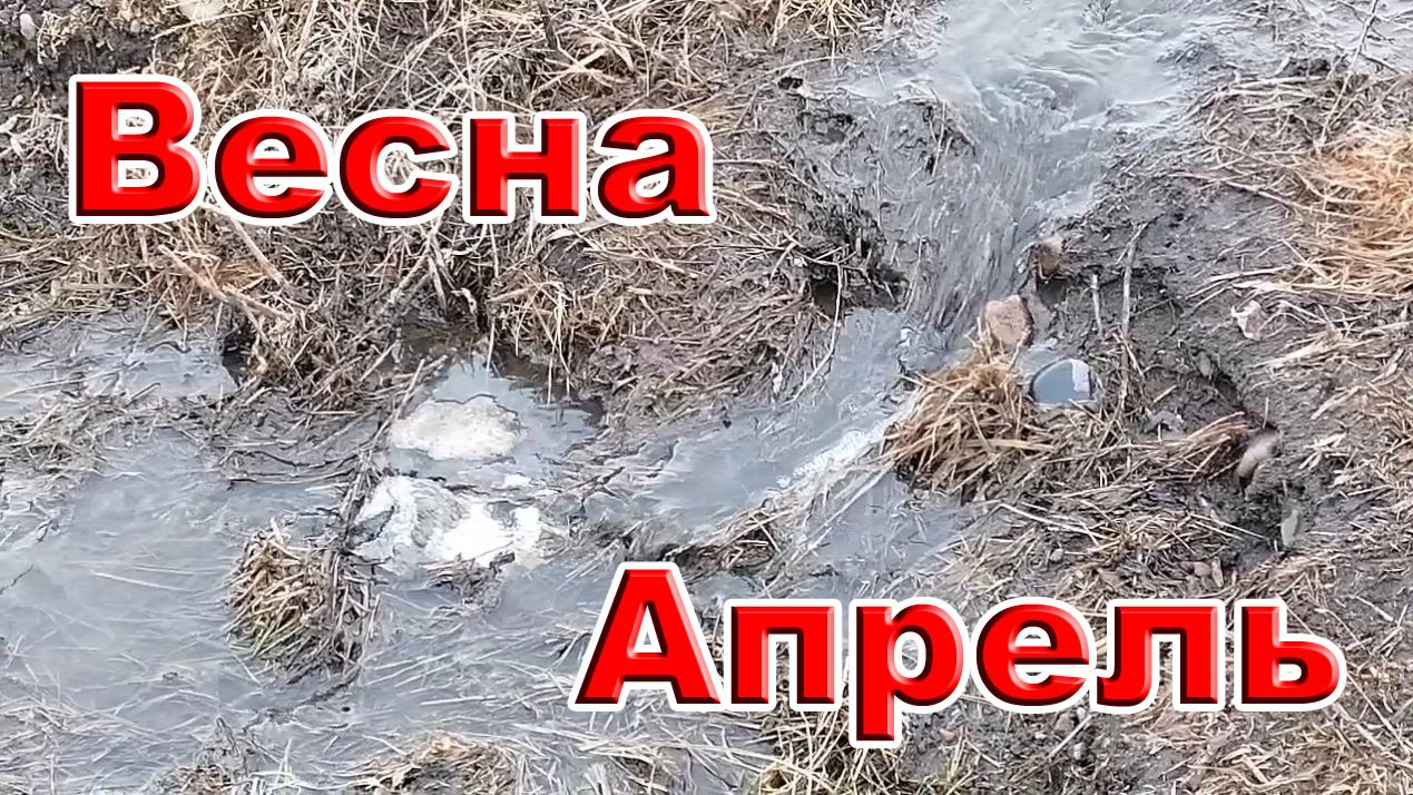 Весна. Апрель