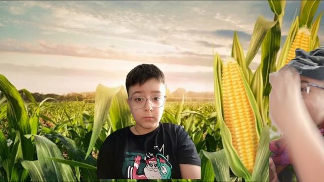 31367b3a057b882eb62a9b5f6bfeb714