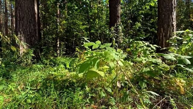 Не оглядывайся на прошлое.