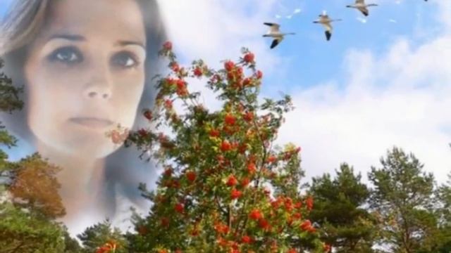 А Рябина Во Дворе💥💥💥