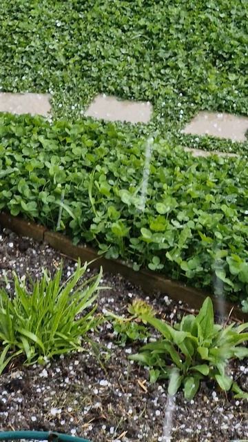 Град 8 апреля.Натухаевская