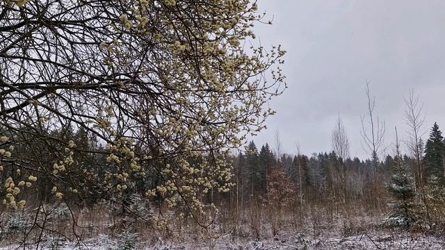 весенний снегопад.mp4