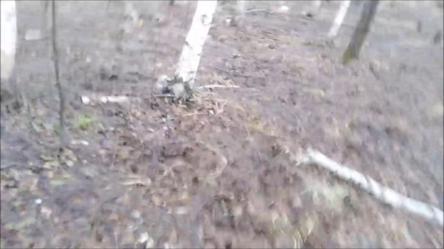 ✔Первые весенние❄💧 грибы🍄✔