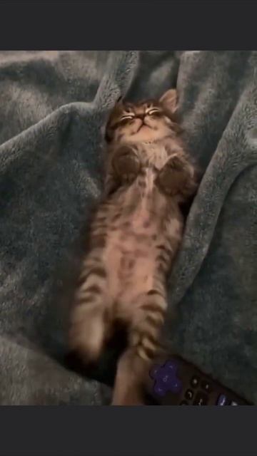 Богатырский сон