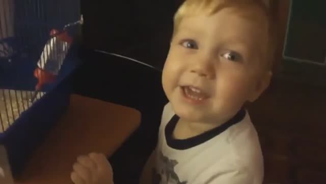 Никто тебя не любит так как я