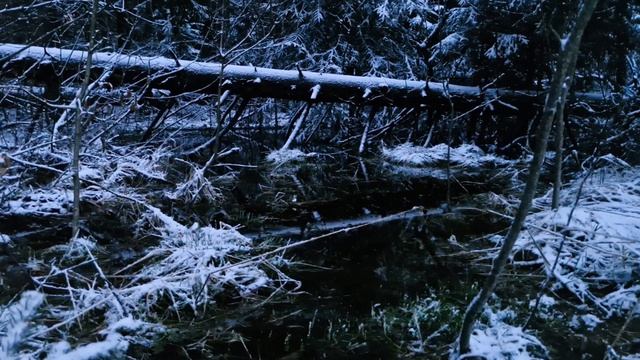 весенний снегопад 2.mp4