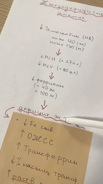 Диагностика анемии 1