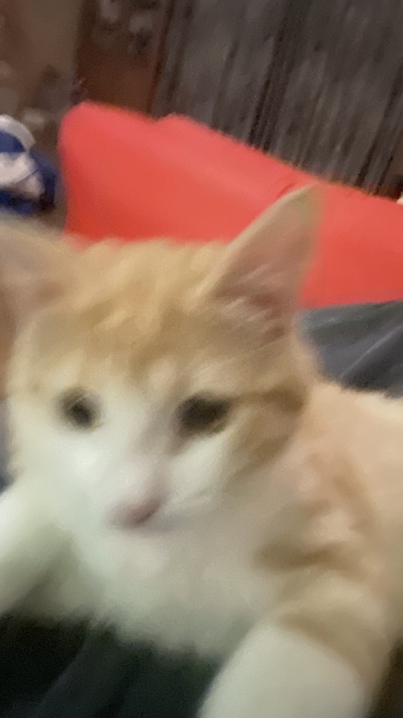 39f7f000a237ef5a29eb4fb4b1652a91