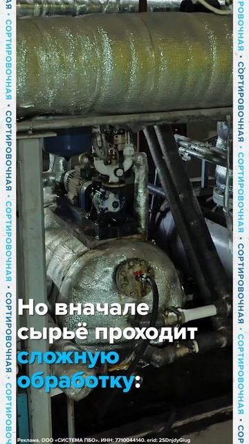 Как фритюрное масло превращают в биотопливо?