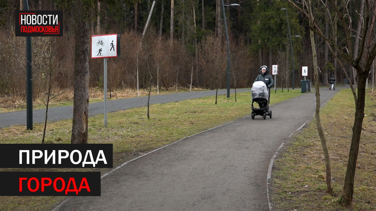 Ольгинский лесопарк благоустроили в Балашихе