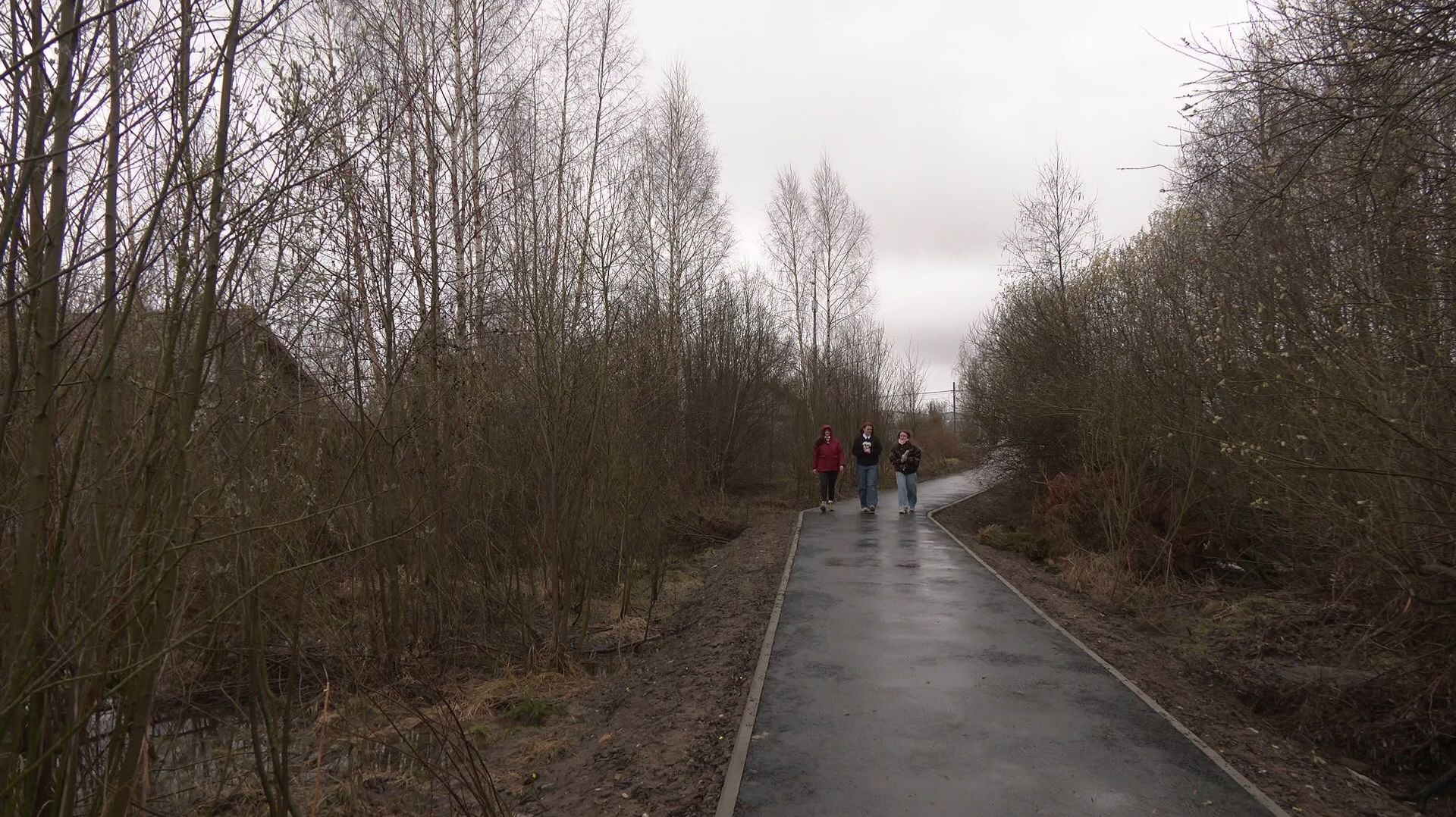 Новая программа